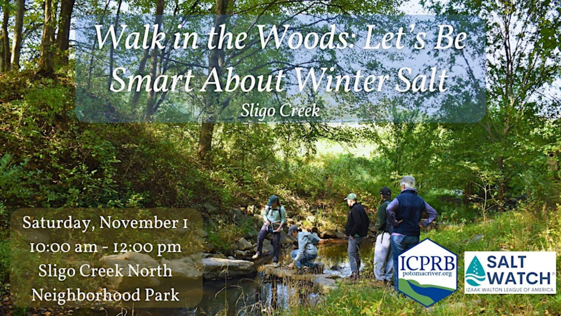 walk in the woods November 1, 2025